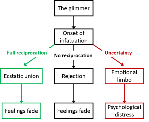 Love limerence vs Limerence vs